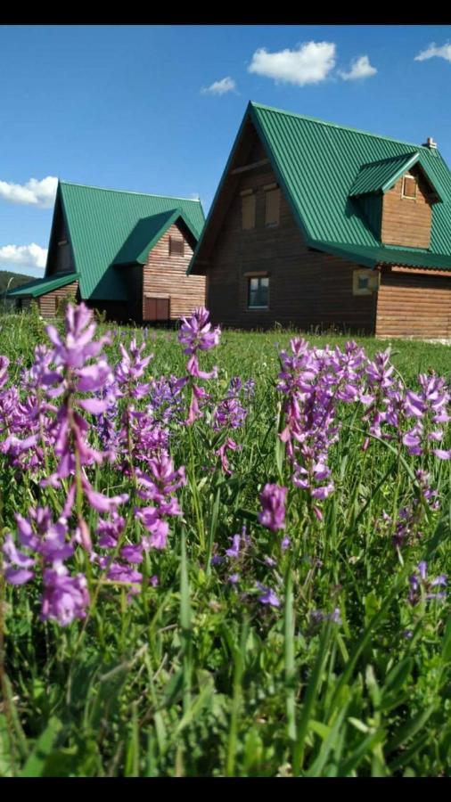 Mountain Soul Rest Villa Zabljak  Exterior photo